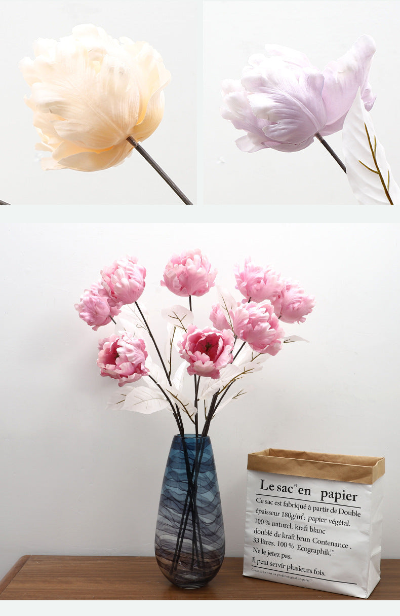 Cathay Pacific Tulip - ANNAM