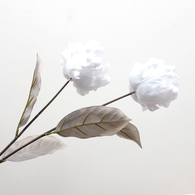 Cathay Pacific Tulip - ANNAM