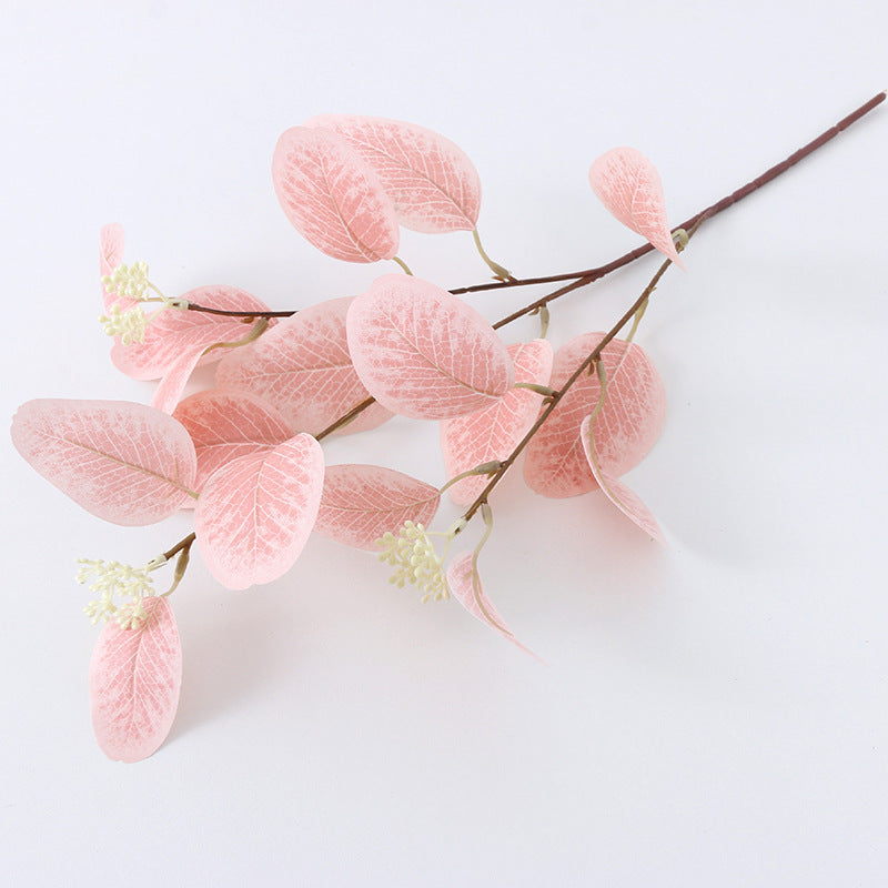 American eucalyptus