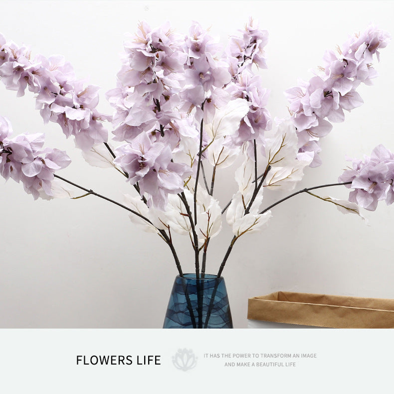 Bougainvillea - ANNAM