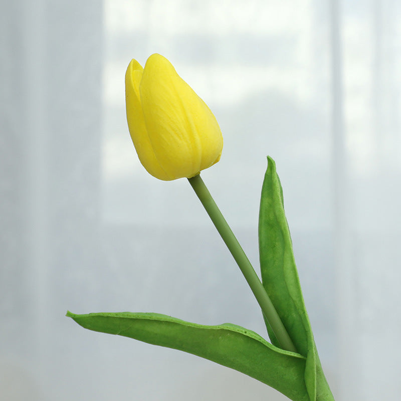 Tulip - ANNAM