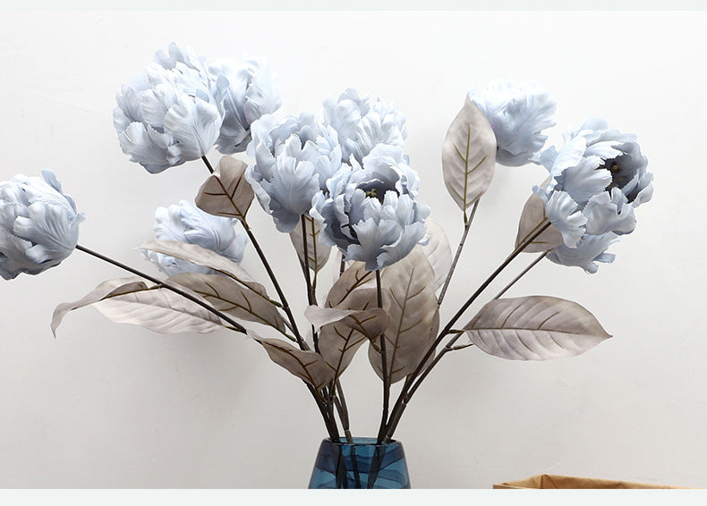 Cathay Pacific Tulip - ANNAM