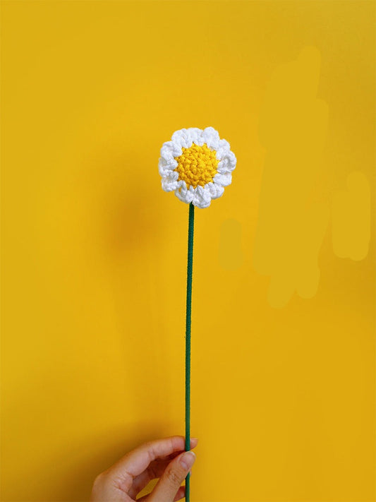 ANNAM Květiny Bílý heřmánek