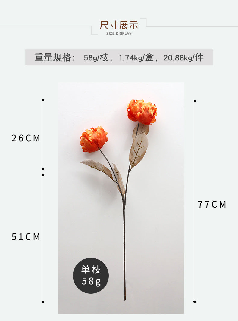 Cathay Pacific Tulip - ANNAM