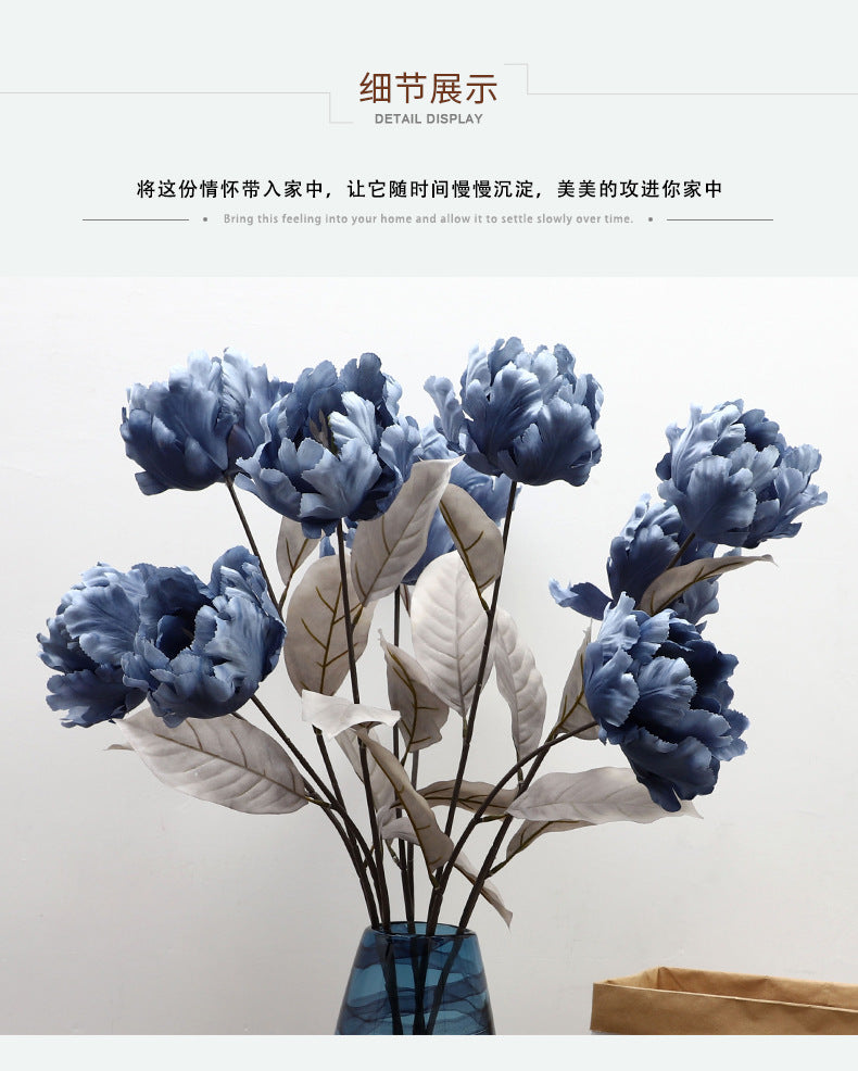 Cathay Pacific Tulip - ANNAM
