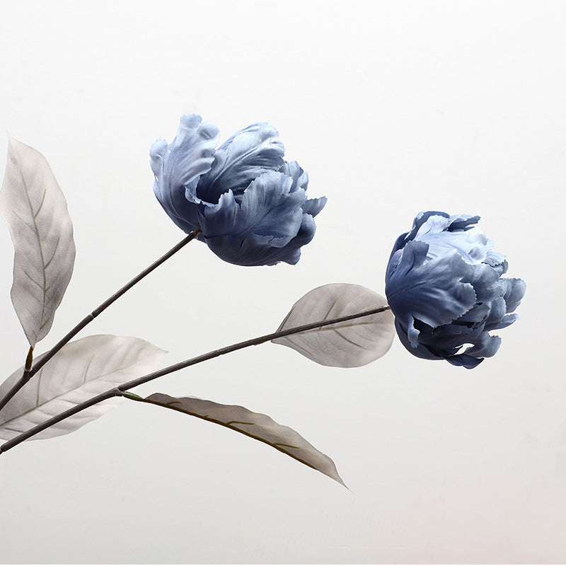 Cathay Pacific Tulip - ANNAM