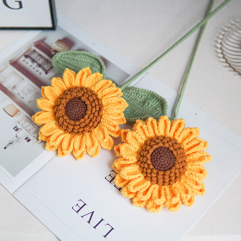 ANNAM Velká Slunečnice