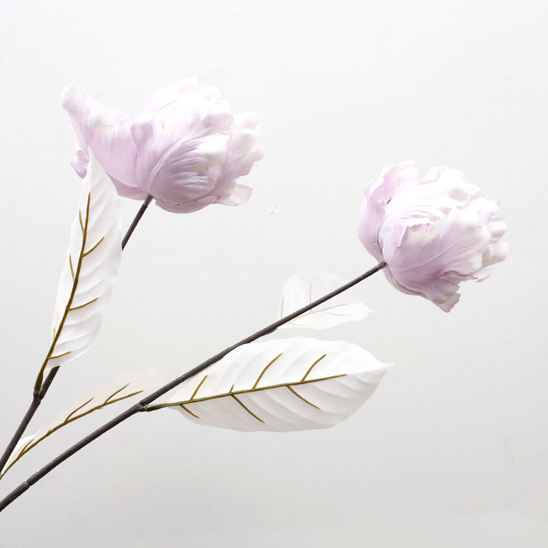Cathay Pacific Tulip - ANNAM