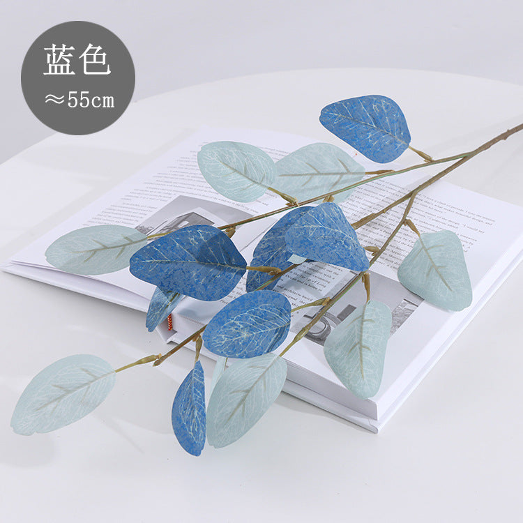 American eucalyptus
