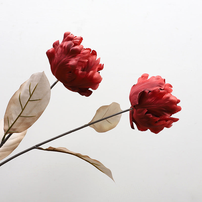 Cathay Pacific Tulip - ANNAM