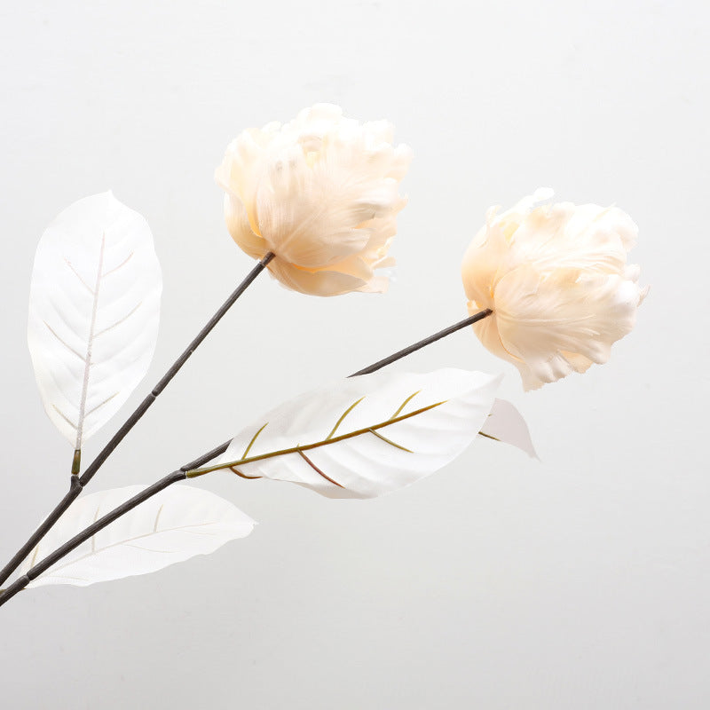 Cathay Pacific Tulip - ANNAM