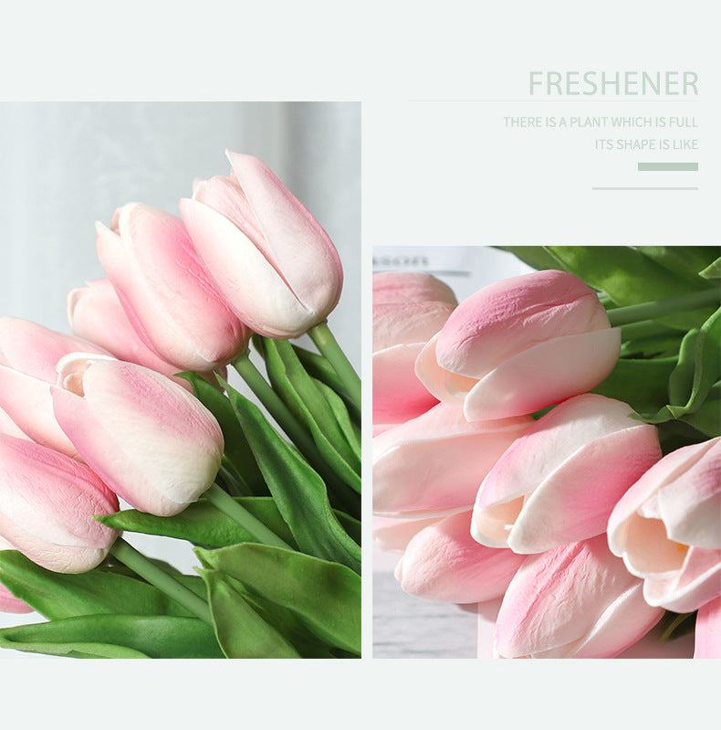 Tulip - ANNAM