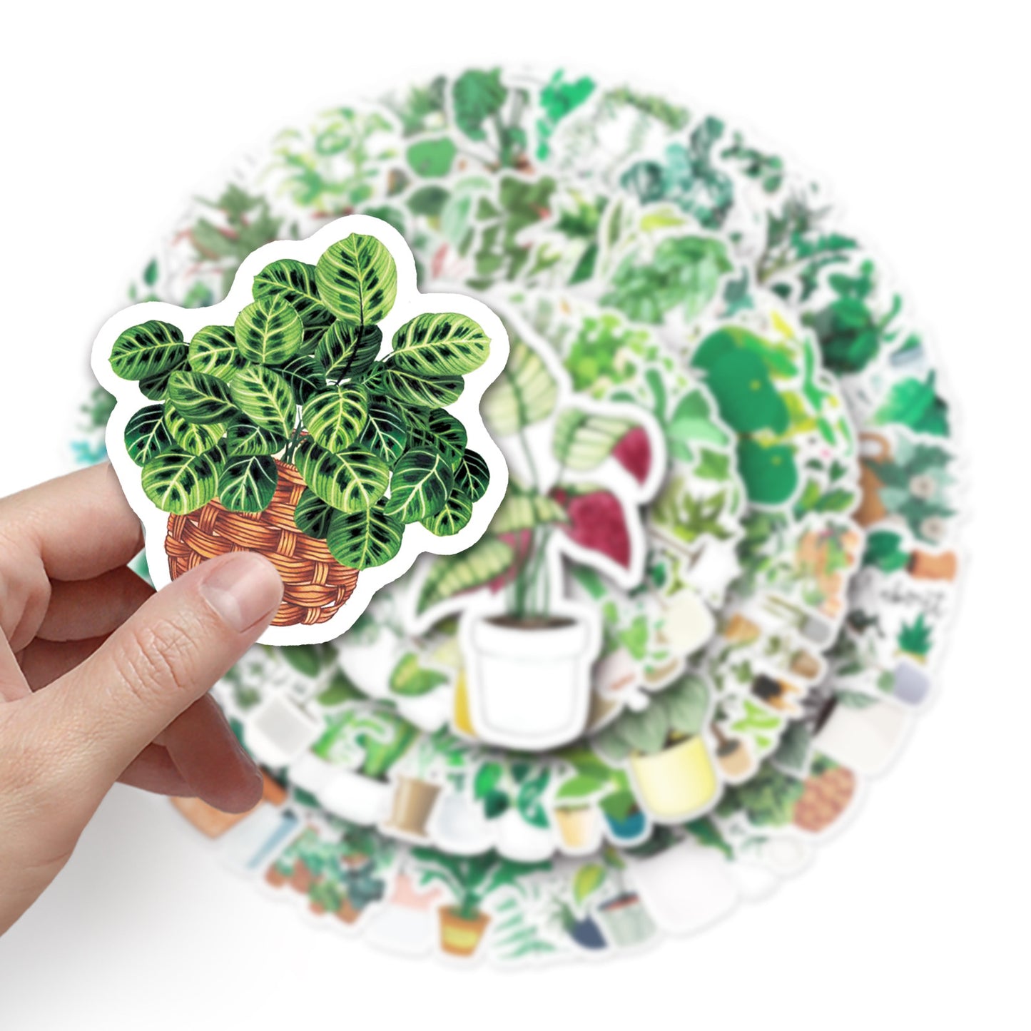Room Plants Stickers 100pcs - 100 different stickers