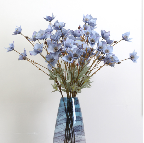 6 Headed narcissus