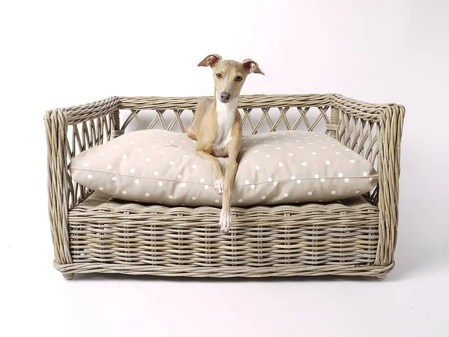 Rattan Postel Cooper - ANNAM