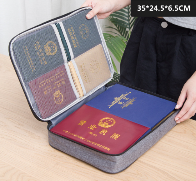 Travel organiser for documents