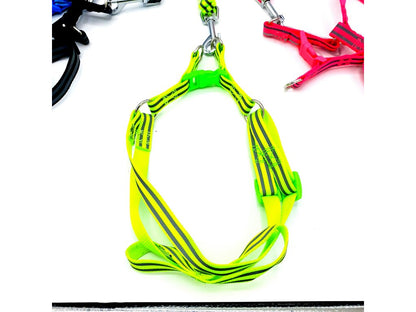 Reflective leash with a harness of 1.5 x 120 CMPOSTROJ max 50cm