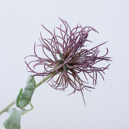 Sea Urchin Flower - ANNAM