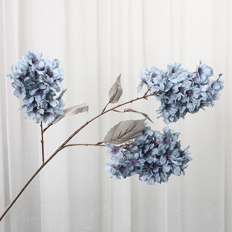 3 velké Hydrangea - ANNAM