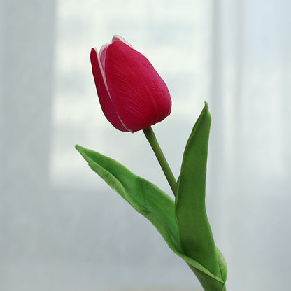 Tulip - ANNAM