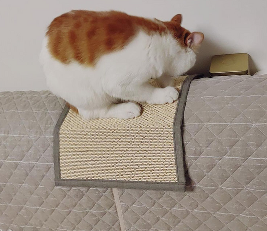 Scratcher for cats for sofas with: 30*40cm